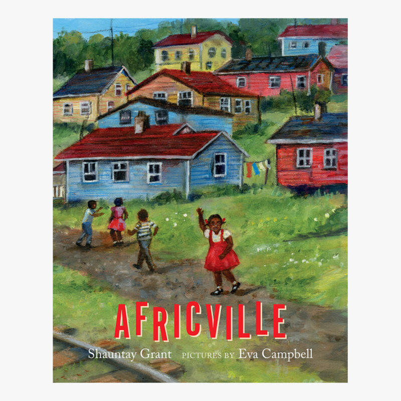 Book cover of Africville