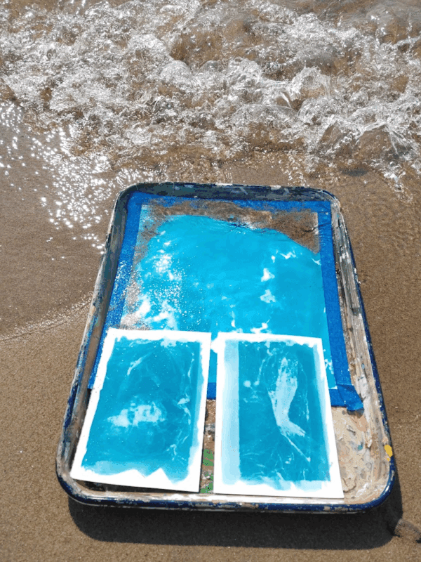 Beauty and the Beach: Cyanotype Printmaking with Jill Price