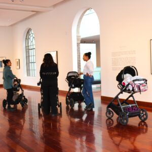 Stroller Tours