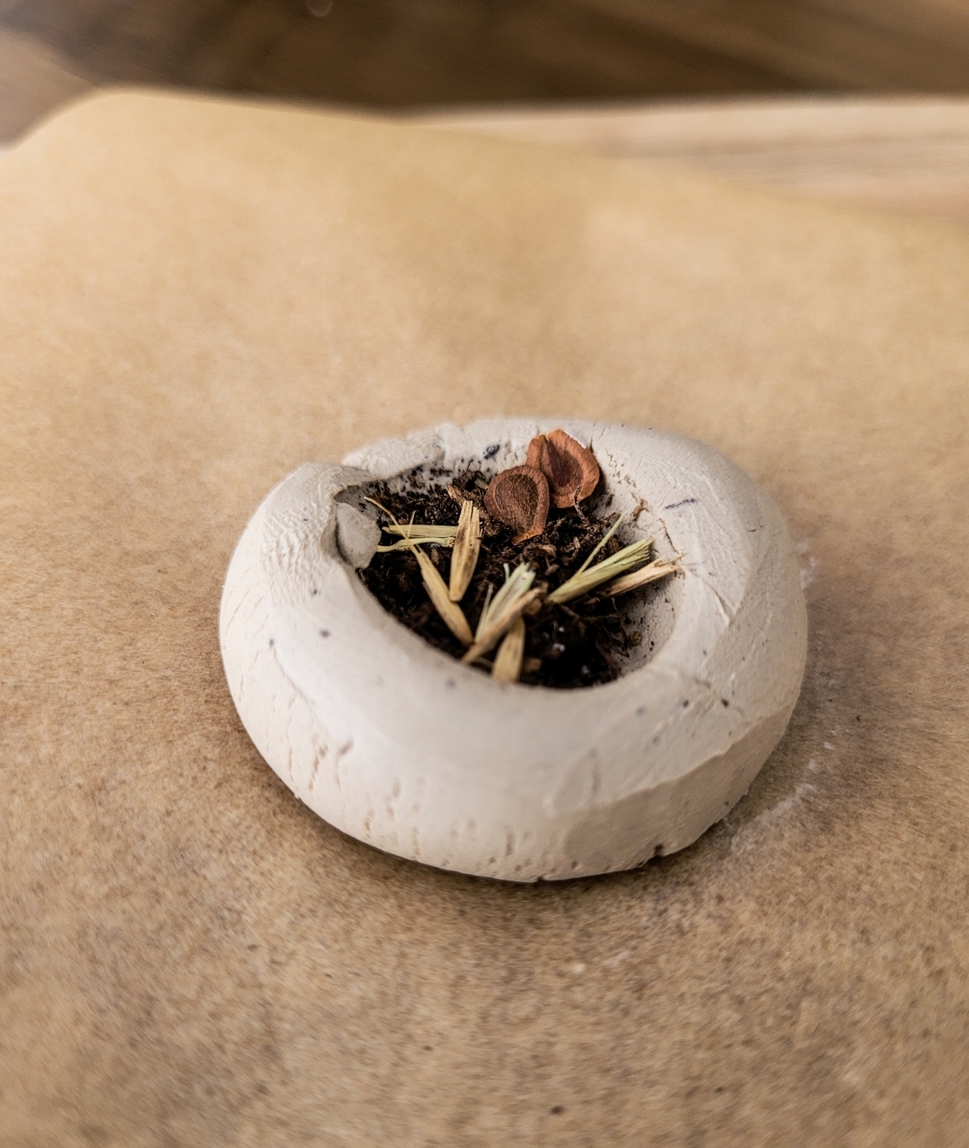 Rewild the City: Seed Bomb Workshop with Tanya Gluvakov