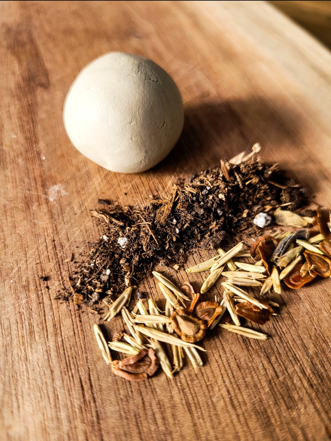 Rewild the City: Seed Bomb Workshop with Tanya Gluvakov - Image 2