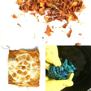 Nature’s Colours: The slow art of dyeing with natural materials (Adults 18+)