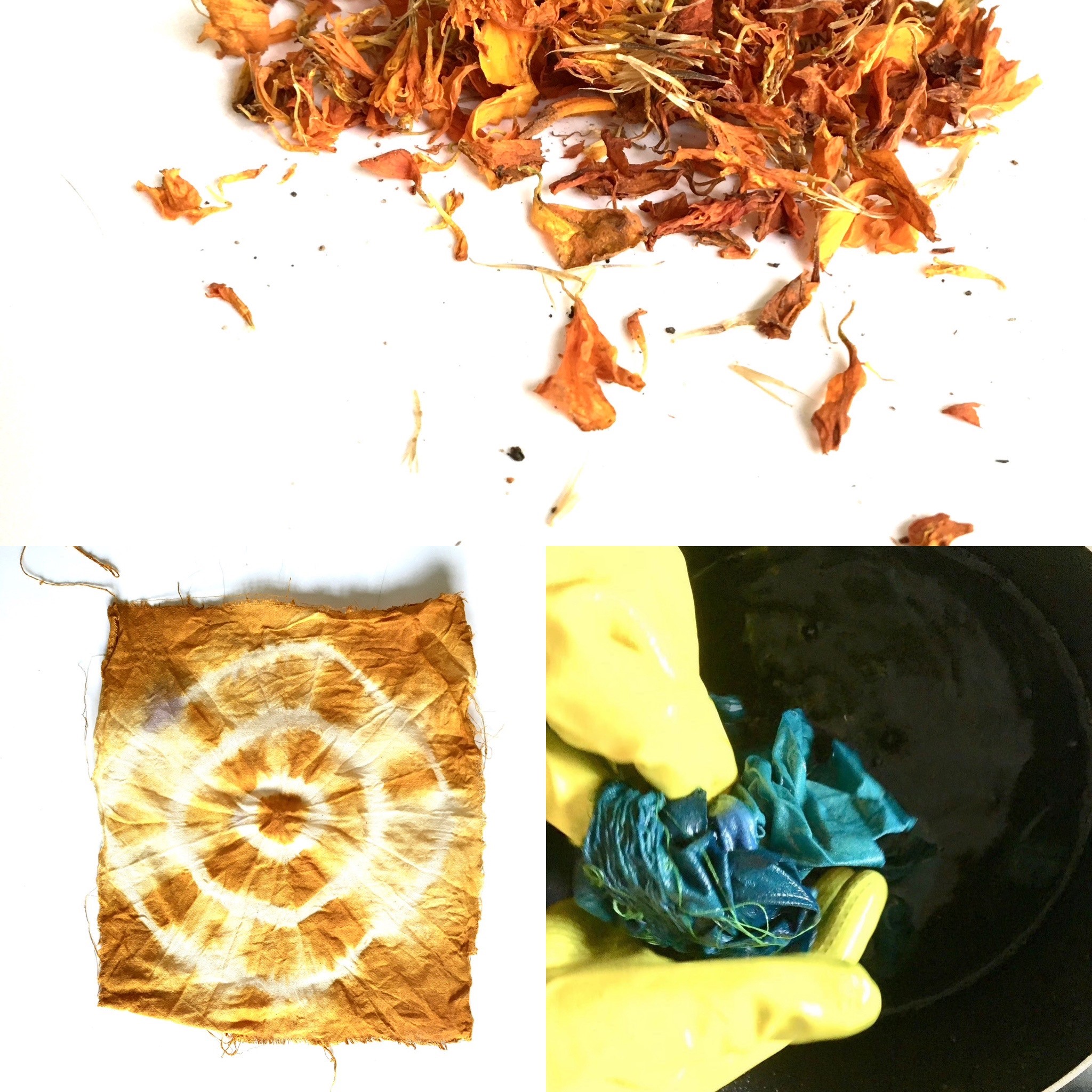 Nature’s Colours: The slow art of dyeing with natural materials (Adults 18+)