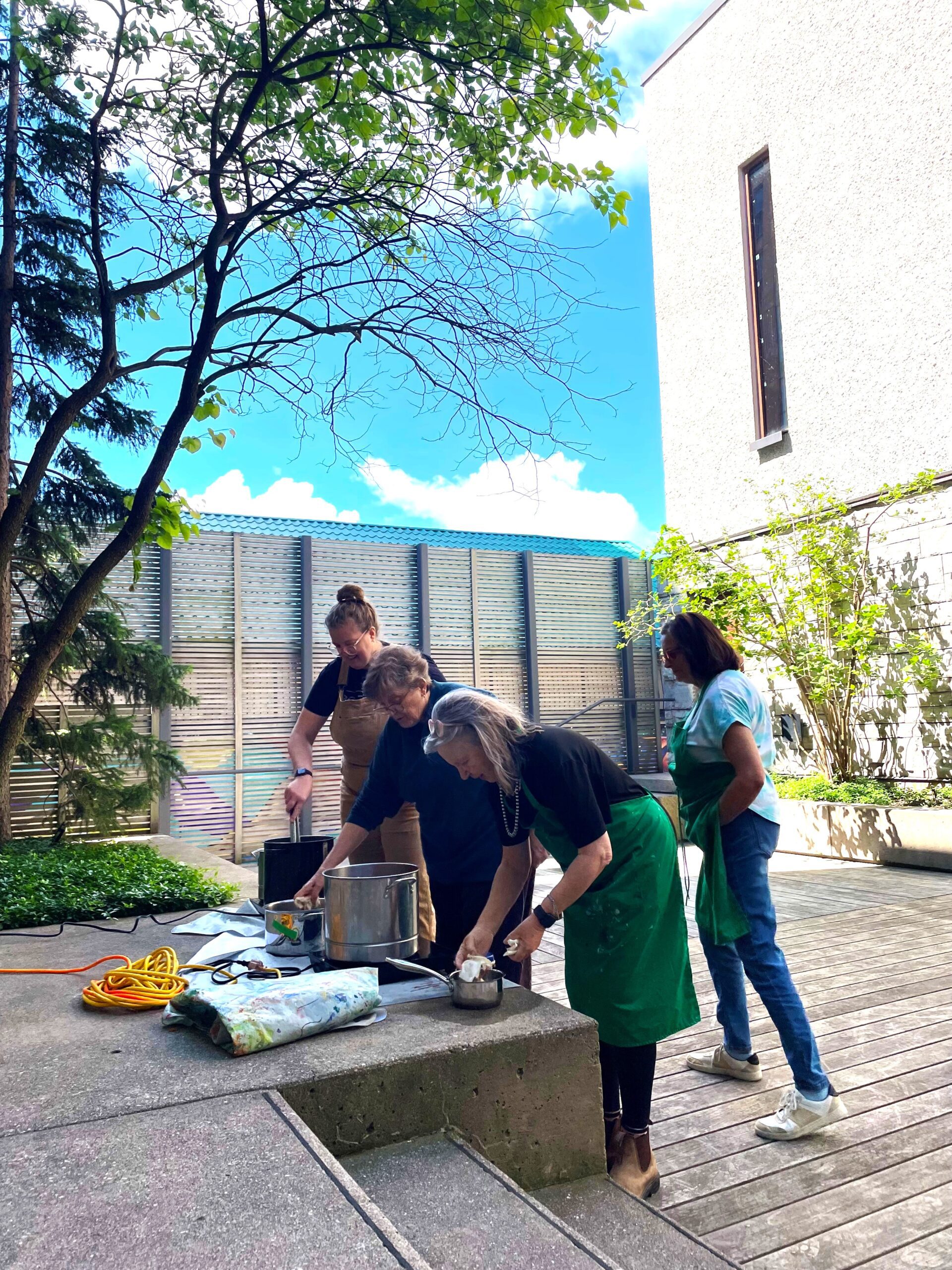 Nature’s Colours: The slow art of dyeing with natural materials (Adults 18+) - Image 2