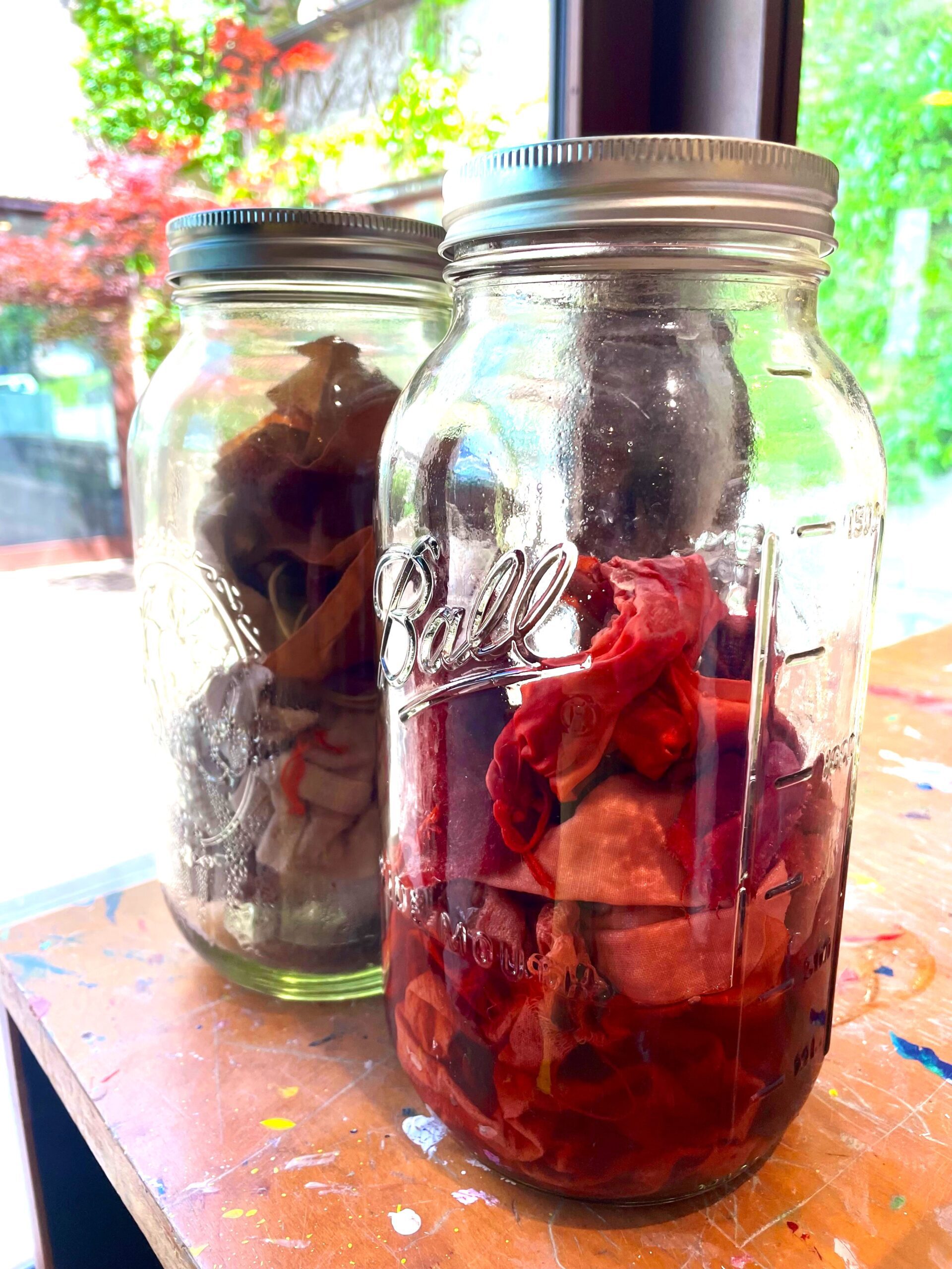 Nature’s Colours: The slow art of dyeing with natural materials (Adults 18+) - Image 4